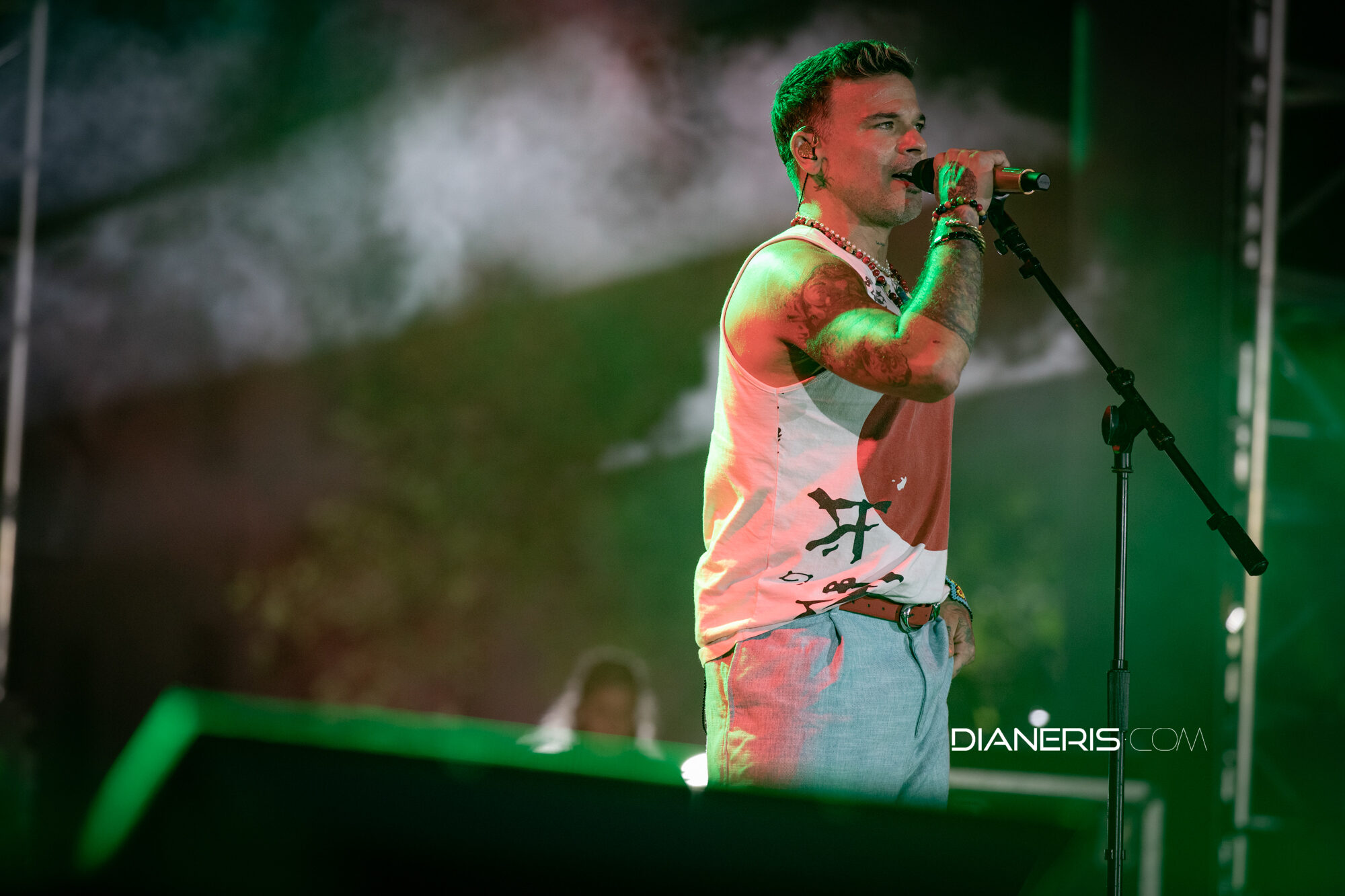 Pedro Capó | f: @dianeris